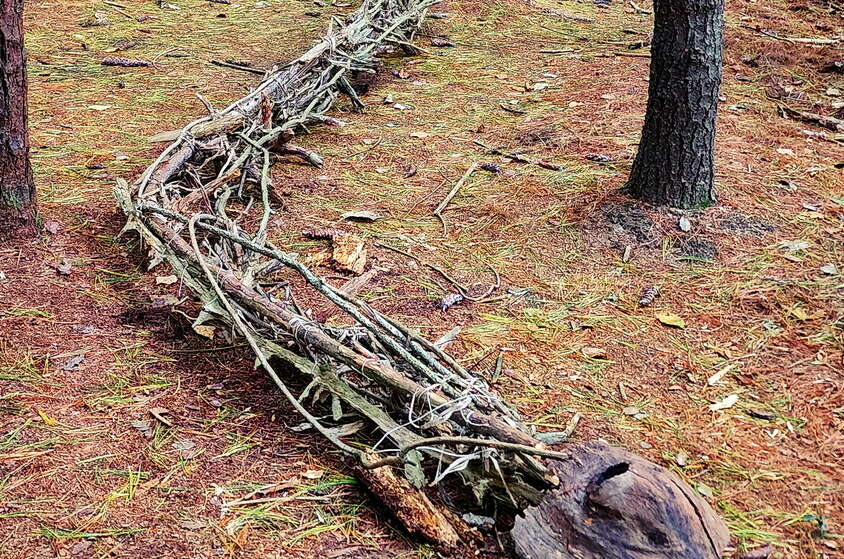 The Dinosaurs in Allaire State Park have been vandalized