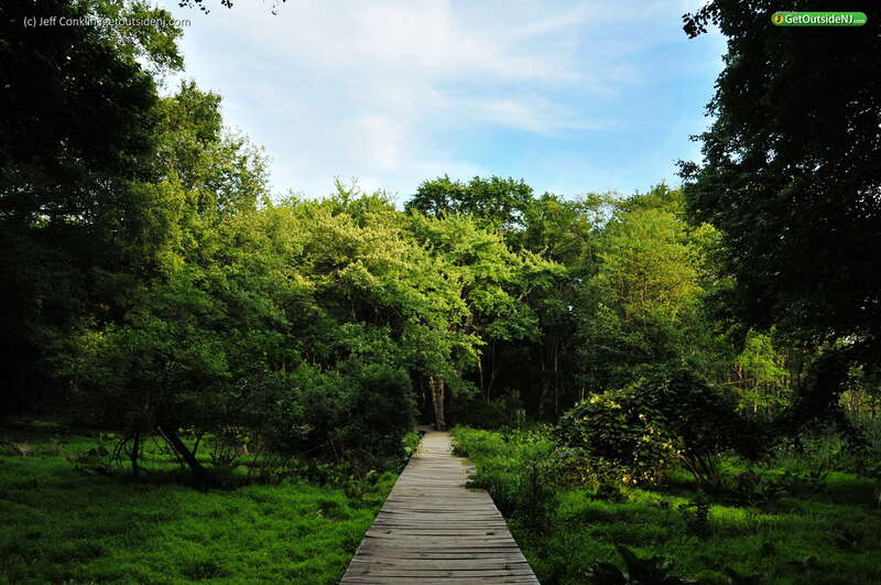 Cheesequake State Park