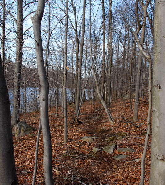 Long Pond Ironworks State Park