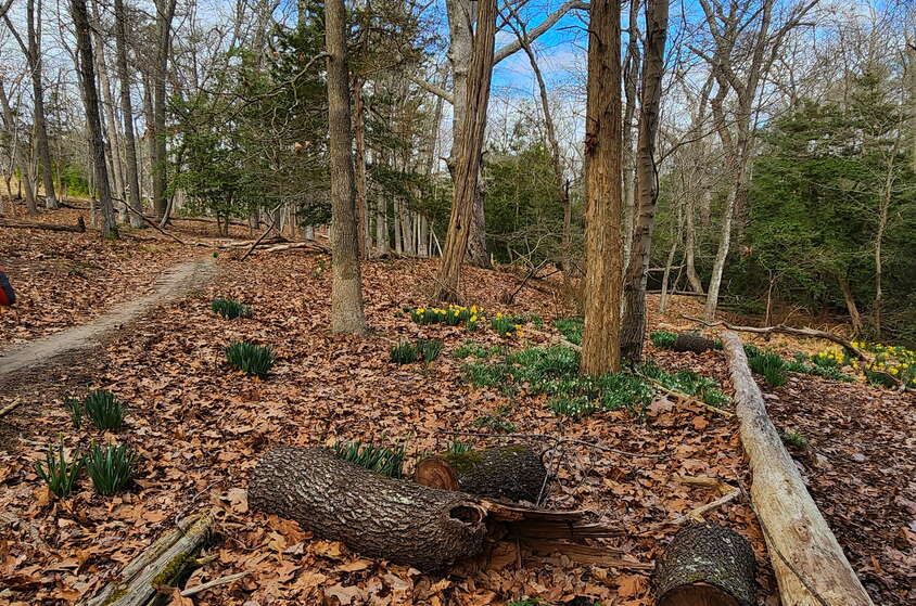A spring hike near the group campground