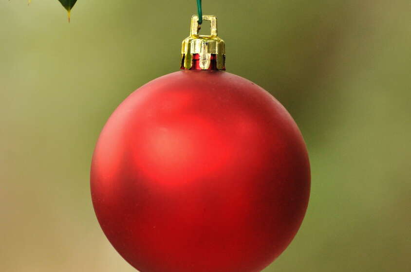 Christmas at Allaire 2025: Trains, Lanterns, and How to Support the Magic