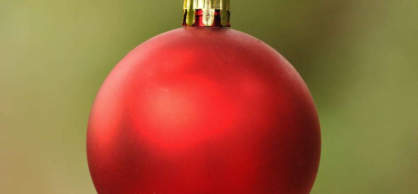 Christmas at Allaire 2025: Trains, Lanterns, and How to Support the Magic