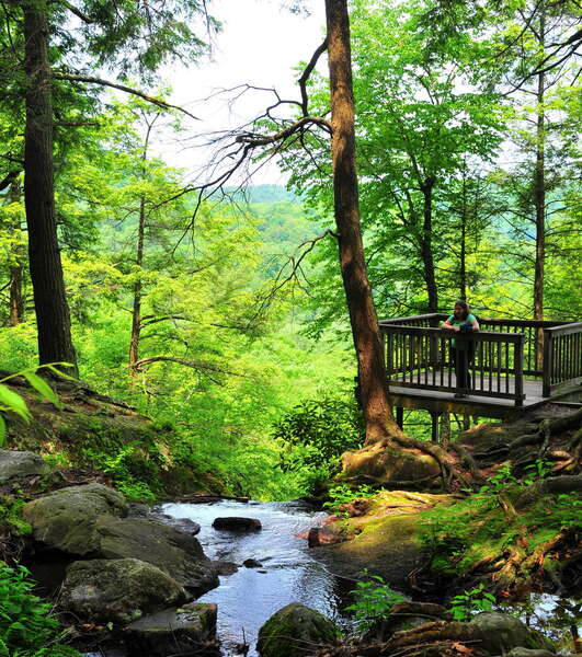 Buttermilk Falls