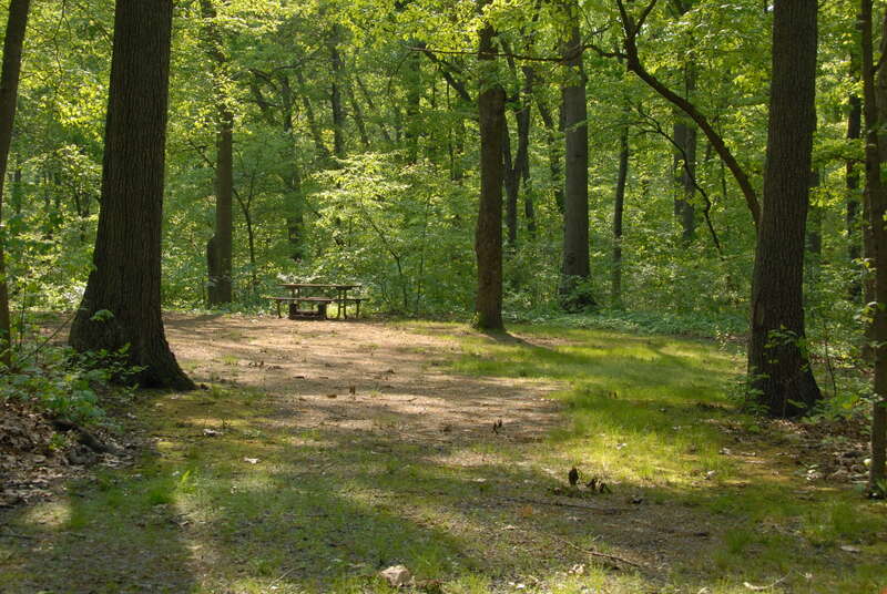Cheesequake Campground