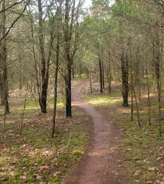 Six Mile Run Reservoir