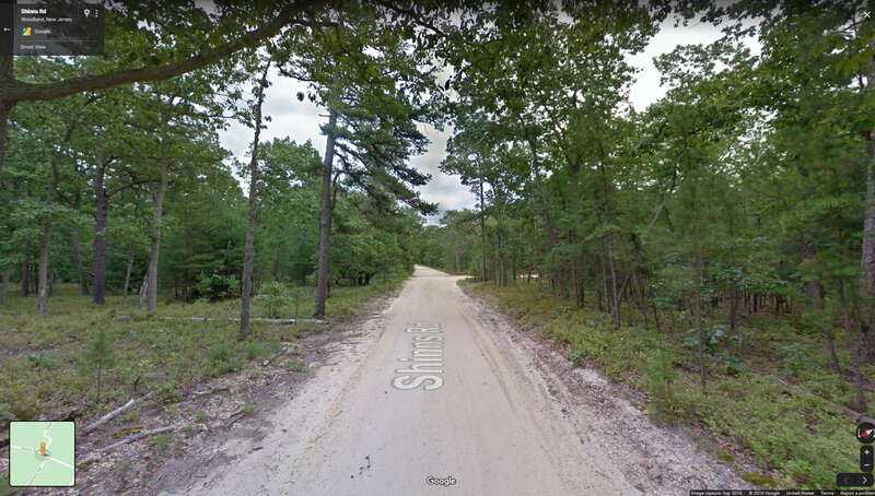 Brendan T. Byrne State Forest