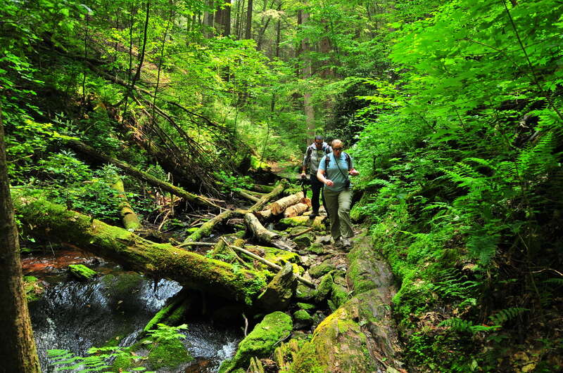Tillman Ravine