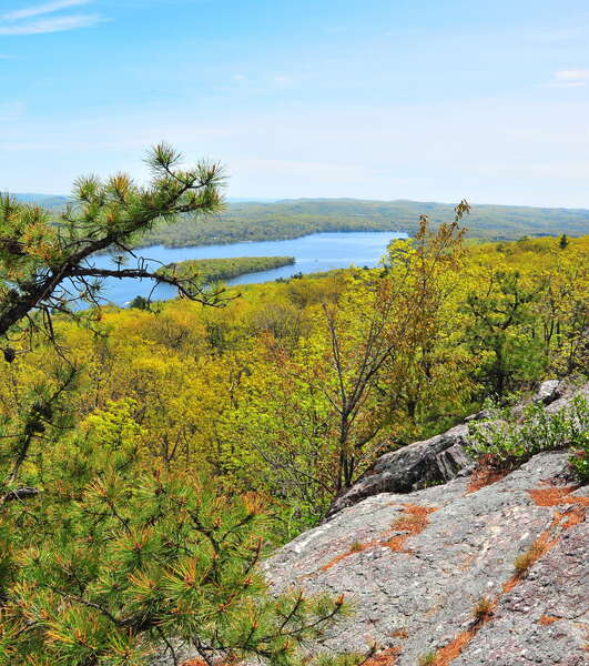 Abram S. Hewitt State Forest