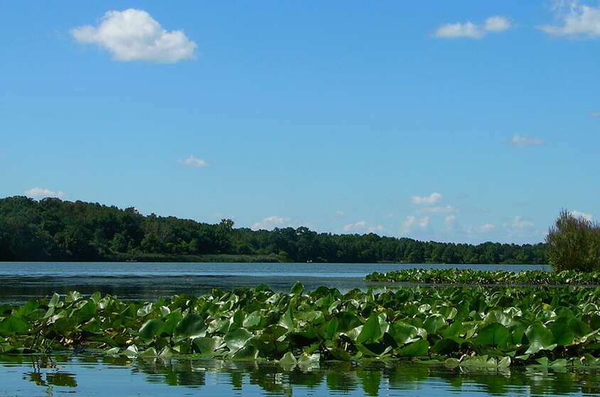 NJ State Parks and Many County Parks Reopen!