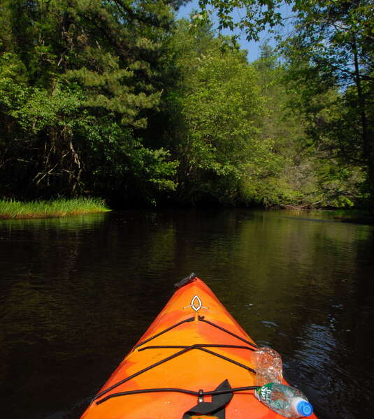 Wharton State Forest