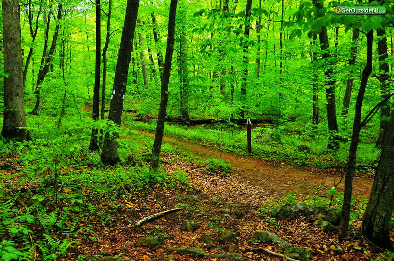 Stephens State Park